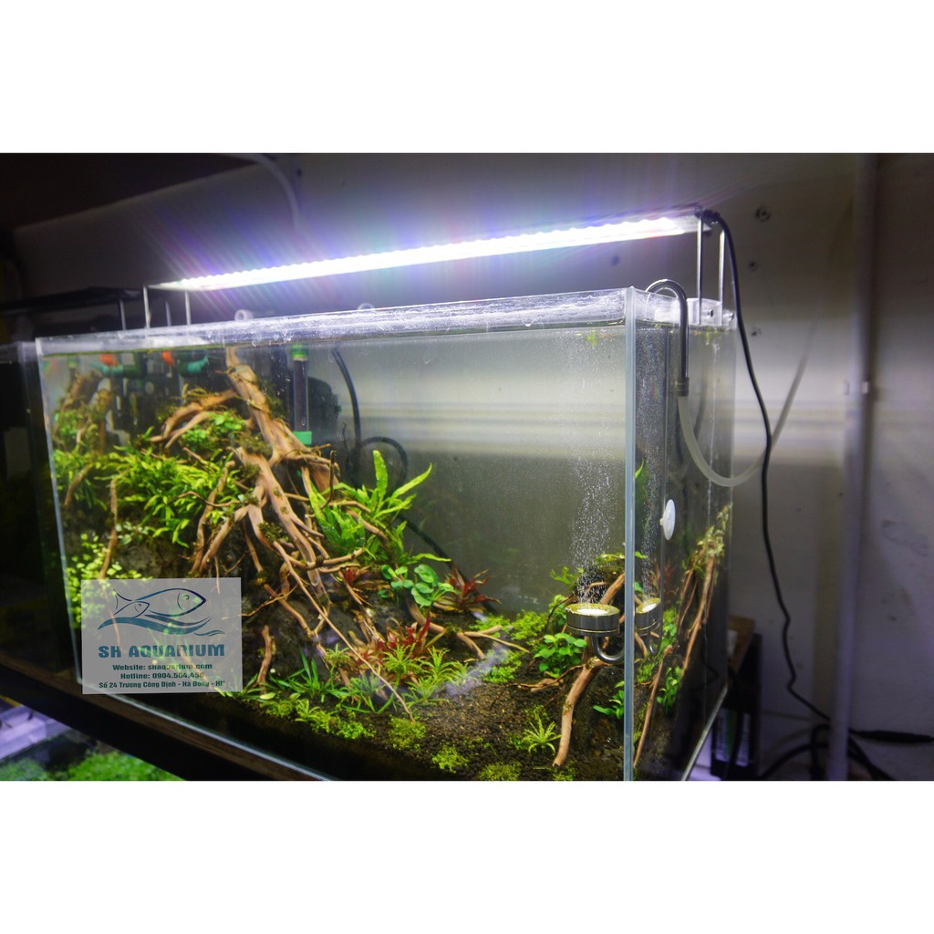 Đèn Led Odyssea A1 Pro