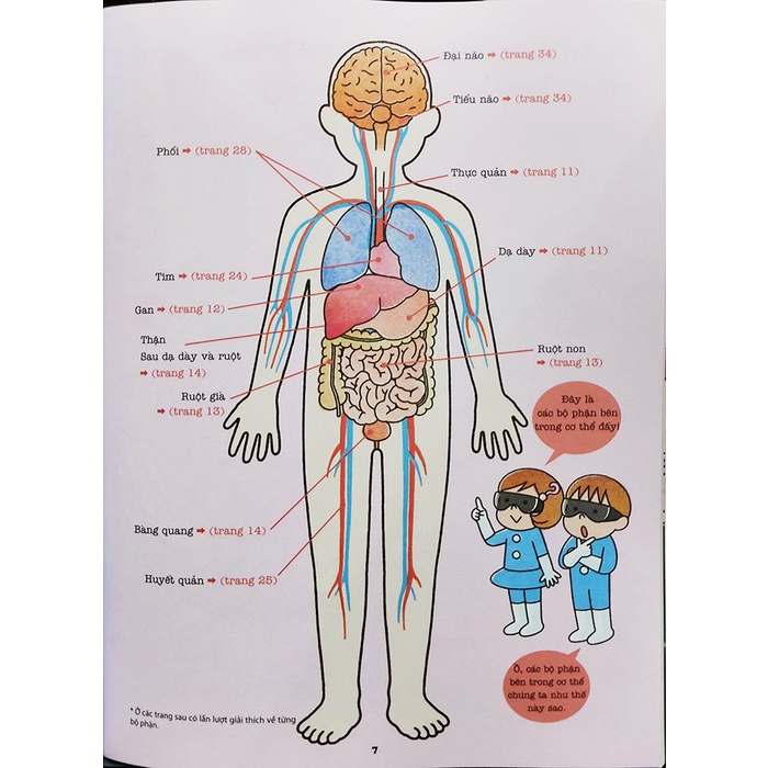 Sách thiếu nhi - Khám phá bí ẩn cơ thể người