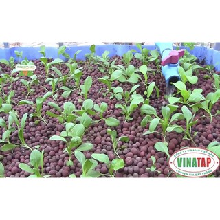 1kg sỏi nhẹ trồng cây thủy canh, trồng lan