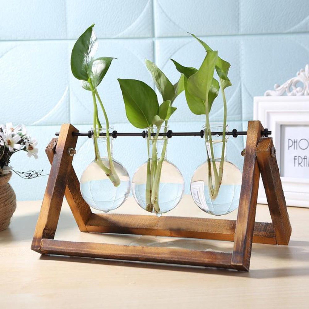 Bình thủy tinh trồng cây thủy sinh với đế đỡ bằng gỗ trang trí nhà ở phong cách cổ điển