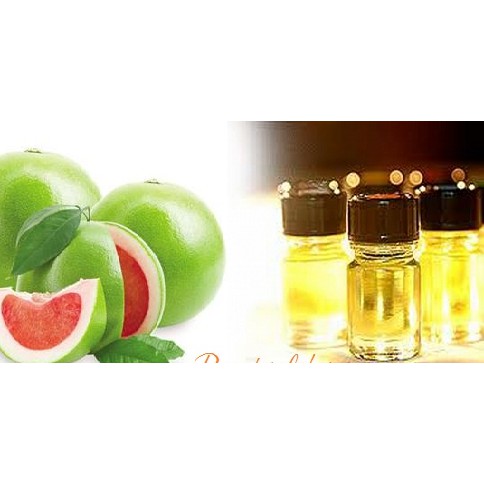 30ml Tinh dầu BẠC HÀ nhập khẩu Ấn Độ giúp xua đuổi côn trùng an toàn và hiệu quả mùi hương dễ chịu