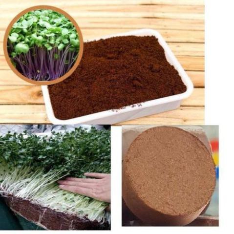 Viên nén mụn xơ dừa bánh lớn, đất sơ dừa nén 0.5Kg viên dùng trồng rau, trộn đất trồng cây