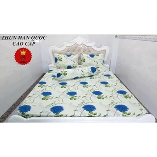 Drap thun Hàn Quốc khố 1.6m x2m (drap, 2 áo gối, 1 gối ôm)