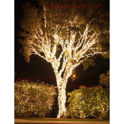 ĐÈN NHÁY LED TRANG TRÍ DÀI 50M