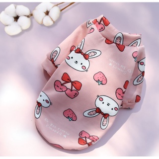 🐶🐱 ÁO CHÓ MÈO 2 CHÂN CHẤT NỈ CO DÃN