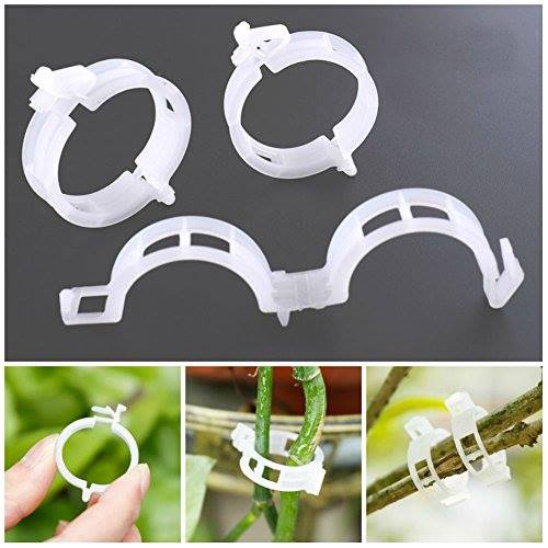 Đai Kẹp thân Dưa lưới - Đai Giữ Thân Cây (Combo 50 cái)