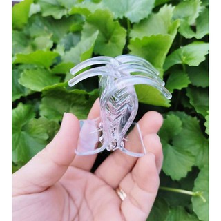 Kẹp tóc càng cua 3 răng/5 răng