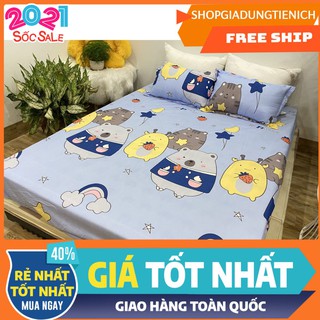 [Free ship ga giường]Ga trải giường cotton poly đã bo chun mẫu gấu  mới