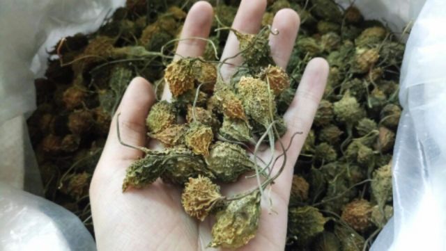 Bột Khổ Qua Nguyên Chất Giảm Mụn, Trắng Da, Mờ Thâm - Mỹ Phẩm Handmade | BigBuy360 - bigbuy360.vn