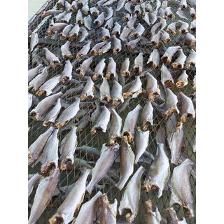 Khô lù đù size nhỏ