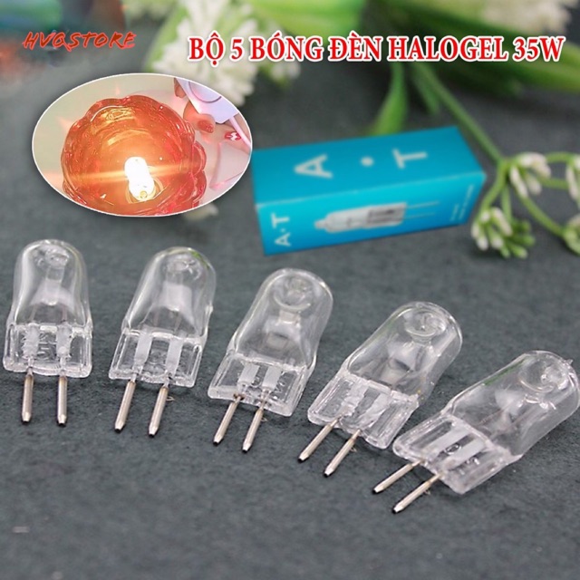 [Phụ Kiện ] Bộ 5 bóng đèn halogen cho đèn xông tinh dầu