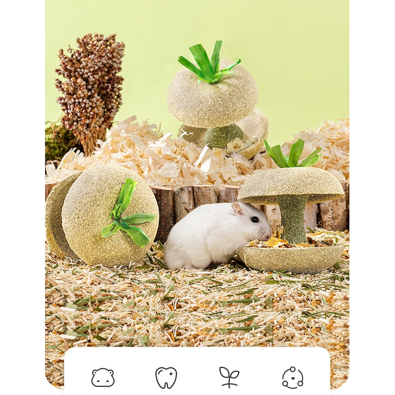 Bát ăn quả táo gặm dở Carno cho hamster
