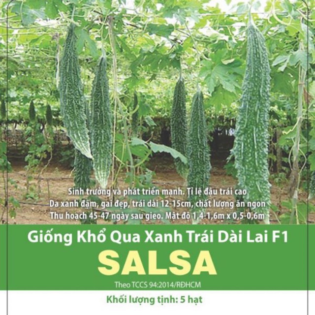 [gói 5 hạt] Khổ Qua trái xanh