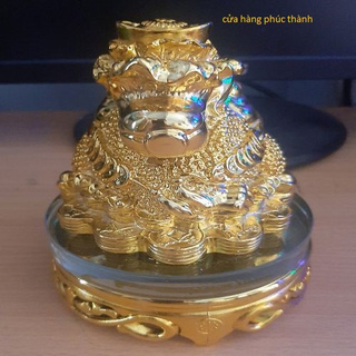 cóc thiềm thừ vàng củ cải
