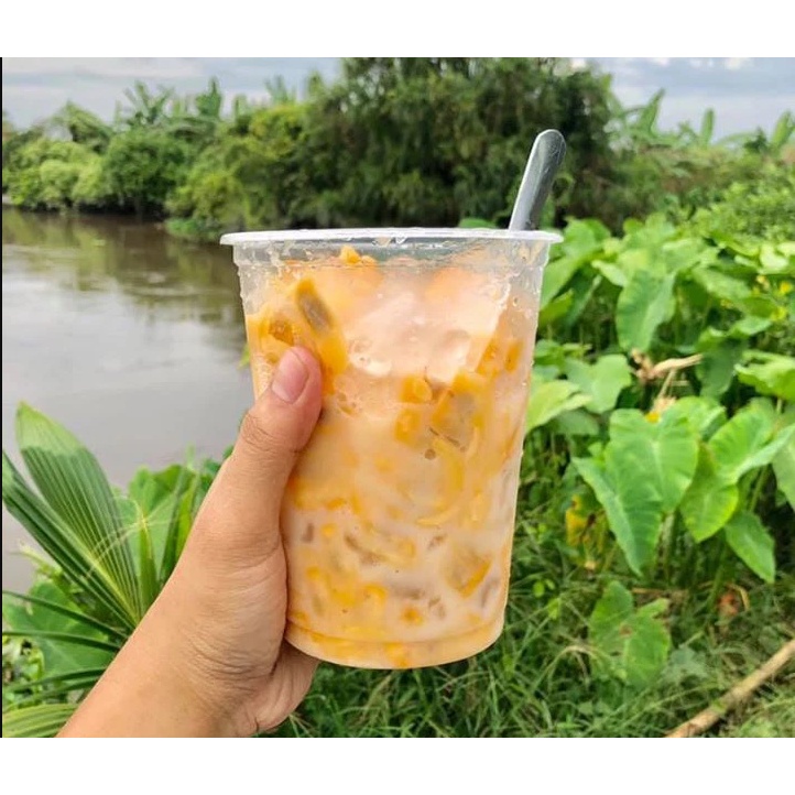 Hạt Giống Bình Bát Cây - Bình Bát Vàng  HCT1 - 1 gói 10 hạt