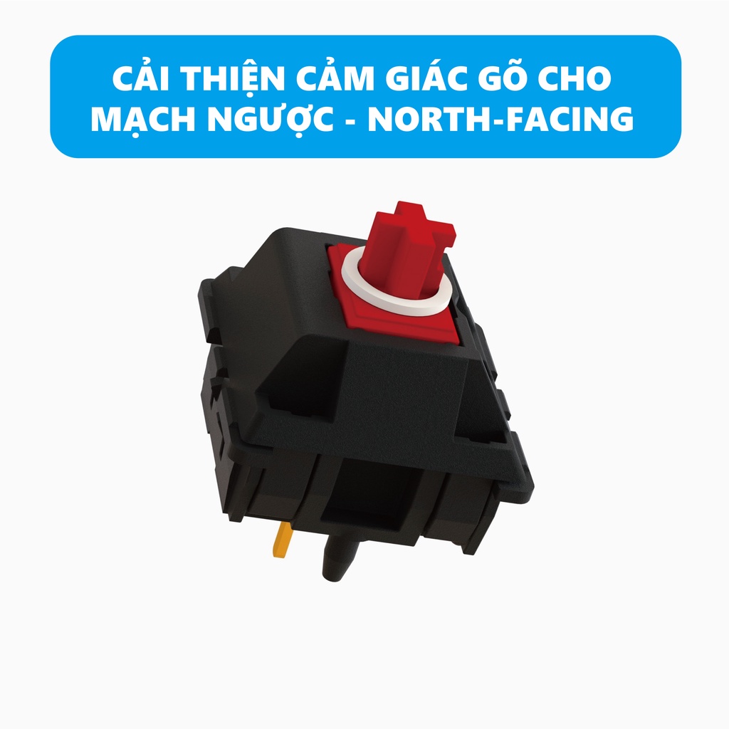 Vòng nhựa chống cấn Payson Ozing cho switch - Chuyên dụng với keycap Cherry