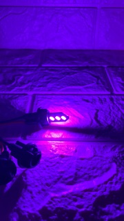 đèn led xi nhan 3 tầng ( 6 led ) siêu sáng .