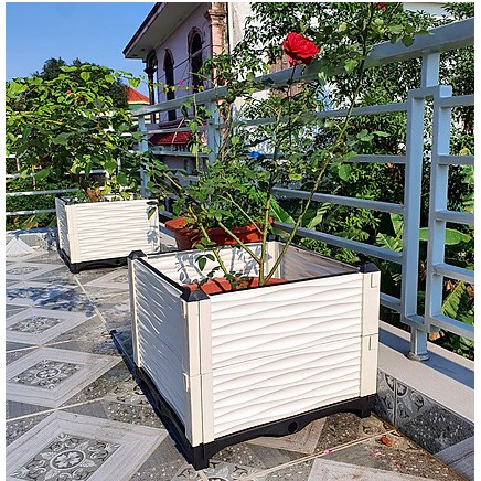 Chậu nhựa trồng rau, cây cảnh thông minh lắp ghép 50x50/Chậu ghép