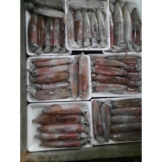 mực ống bạch tuộc đông lạnh