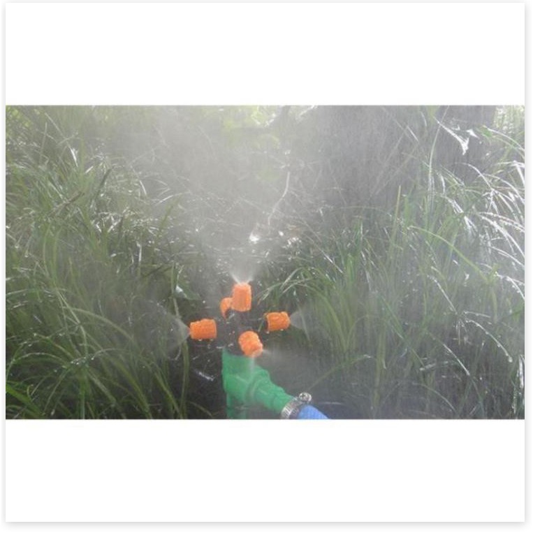 Béc Tưới Phun Sương 5 Hướng Cam