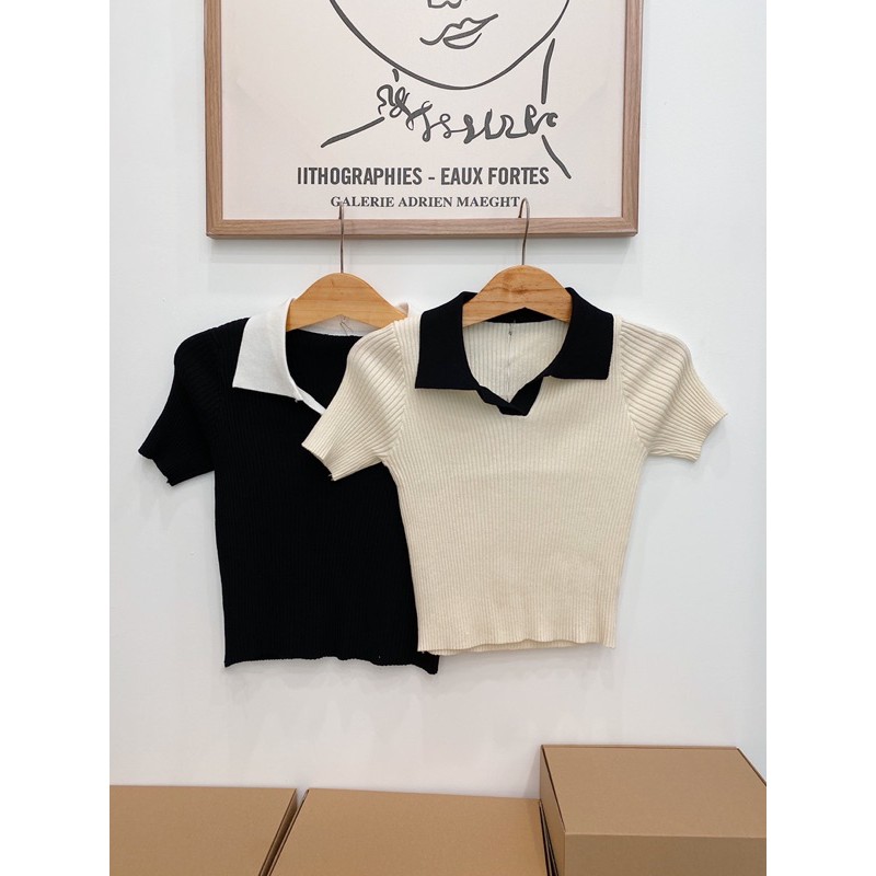 polo cổ màu | BigBuy360 - bigbuy360.vn