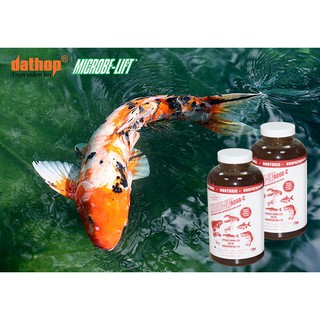 Vi sinh làm sạch và trong nước hồ cá cảnh MicrobeLift Aqua-C