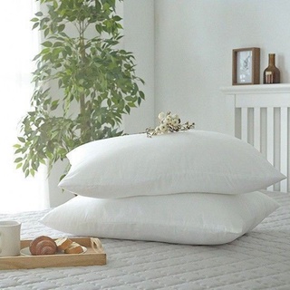Ruột gối sông hồng 45x65cm