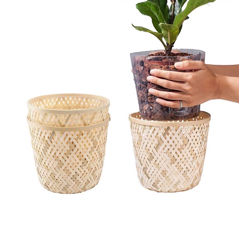 Chậu trồng cây, giỏ trồng cây bằng tre decor trang trí