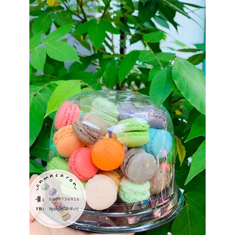 Combo bánh macaron mini