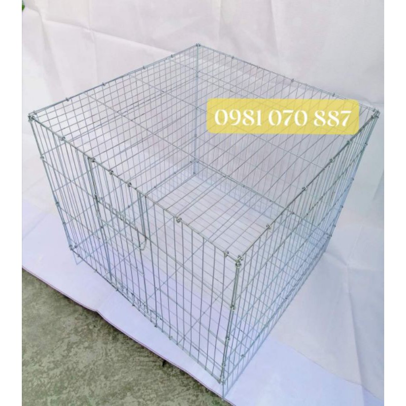 Lồng mèo, chim, thú cưng