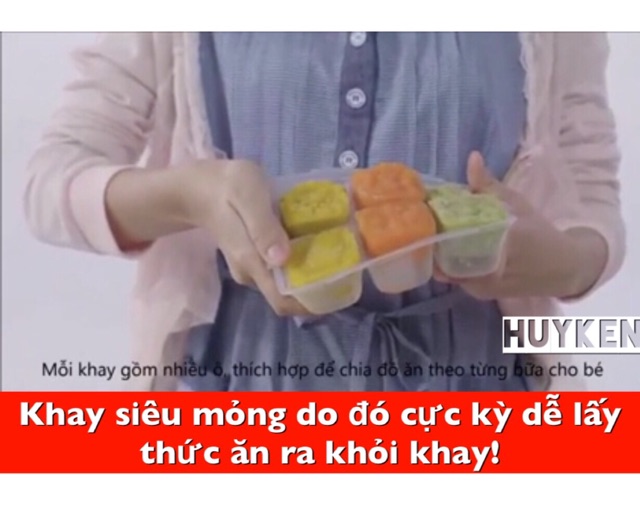 Khay trữ ăn dặm Richell Nhật Bản có nắp