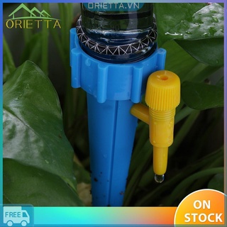 Phễu tưới nhỏ giọt tự động dùng để tưới cây trong nhà