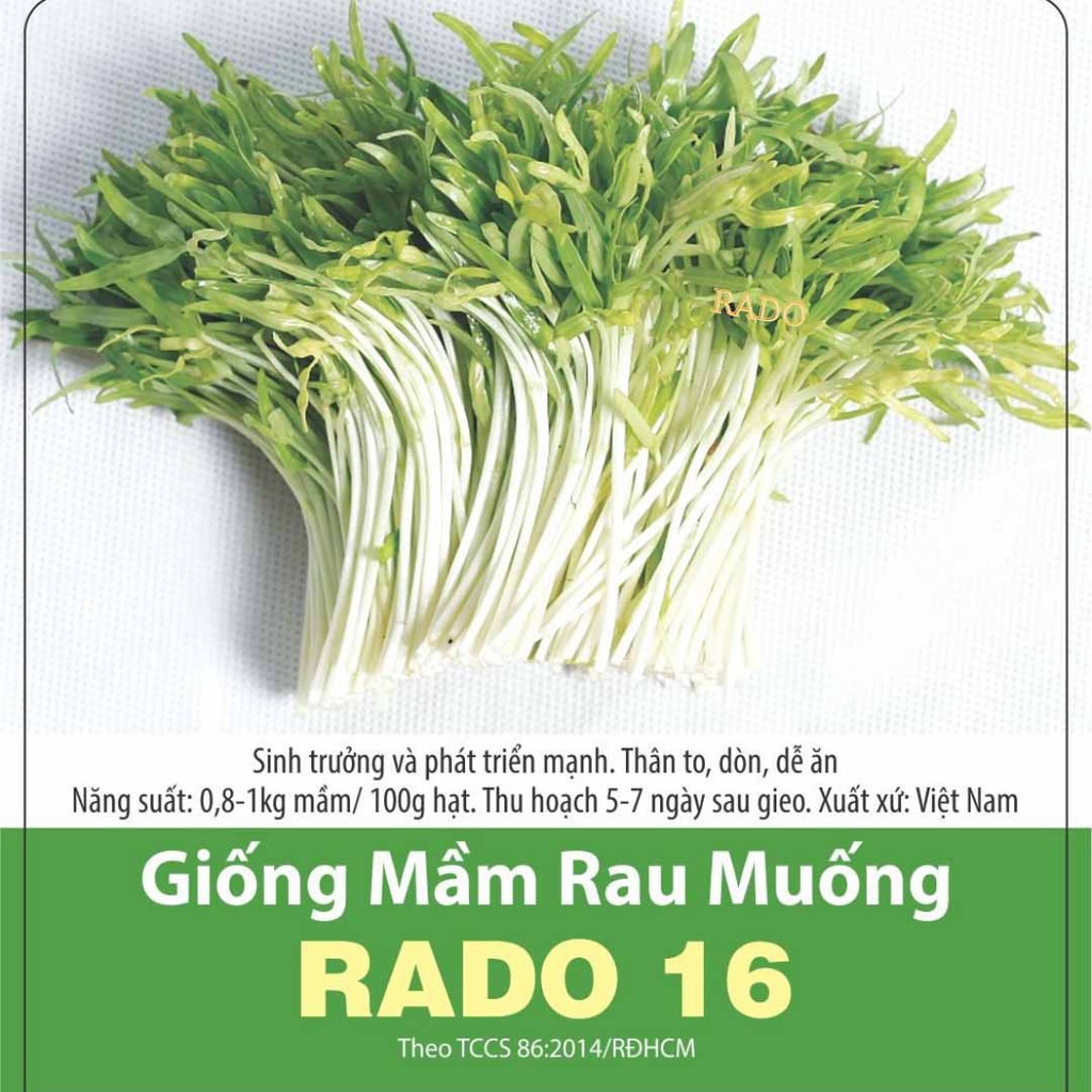 Gói to 100 Gram Hạt Giống Mầm Rau Muống Ngọt Mát Thu Hoạch Sau 1 Tuần