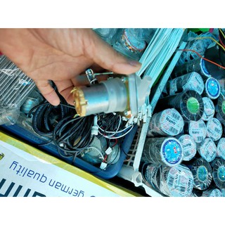 Mô tơ phích nước 12v