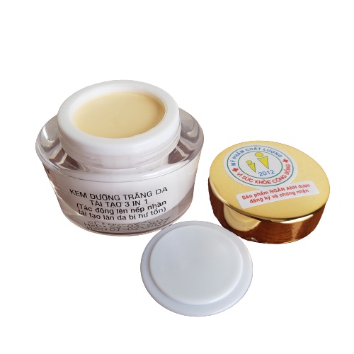 Kem dưỡng trắng da mặt tái tạo 3 in 1 New Today linh chi 20g