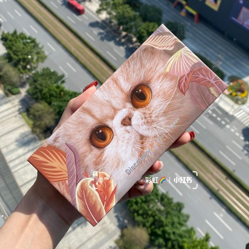 Bảng Phấn Mắt PERFECT DIARY Hoàn Hảo Phong Cách 2020 Mới | BigBuy360 - bigbuy360.vn