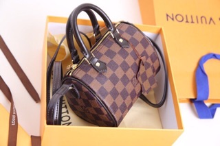 Túi LV Speedy nano