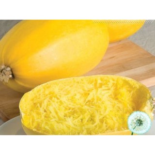 Hạt Giống Bí Sợi Mì Ý - Gói 3 hạt