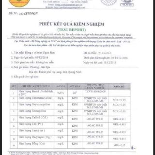 <Kèm cọ đắp> MẶT NẠ PHA SẴN NGỌC SÂM 150GR