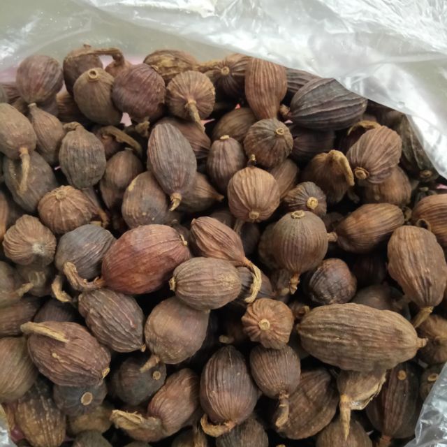 Thảo quả khô-100g