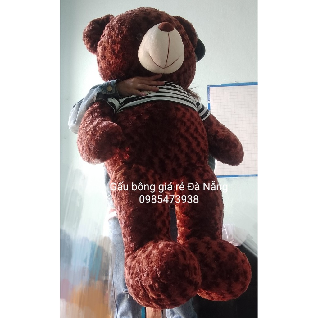 Gấu bông teddy lông xoắn cao cấp khổ vải 1m2 màu socola VNXK