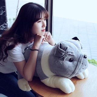 CHÓ MẶT XỆ GẤU BÔNG 50CM THÚ NHỒI BÔNG
