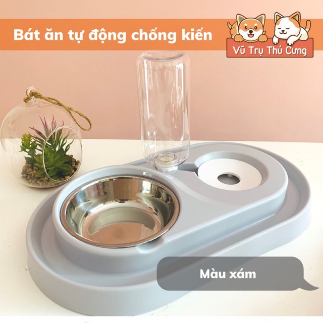 Bát ăn CHỐNG KIẾN kèm bình nước tự động cho Chó Mèo | Bát ăn tự động kèm bình nước 500ml