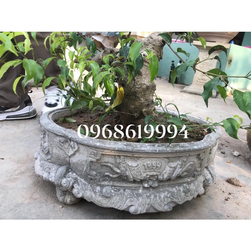 Khuôn Bể khánh mini 50x39x16 có lòng trong đổ úp đáy