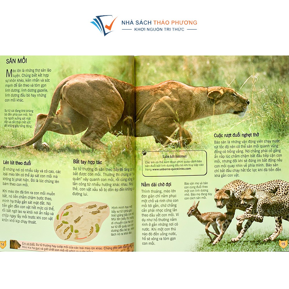 Sách - Bách khoa tri thức về khám phá thế giới cho trẻ em tìm hiểu về nhiều chủ đề