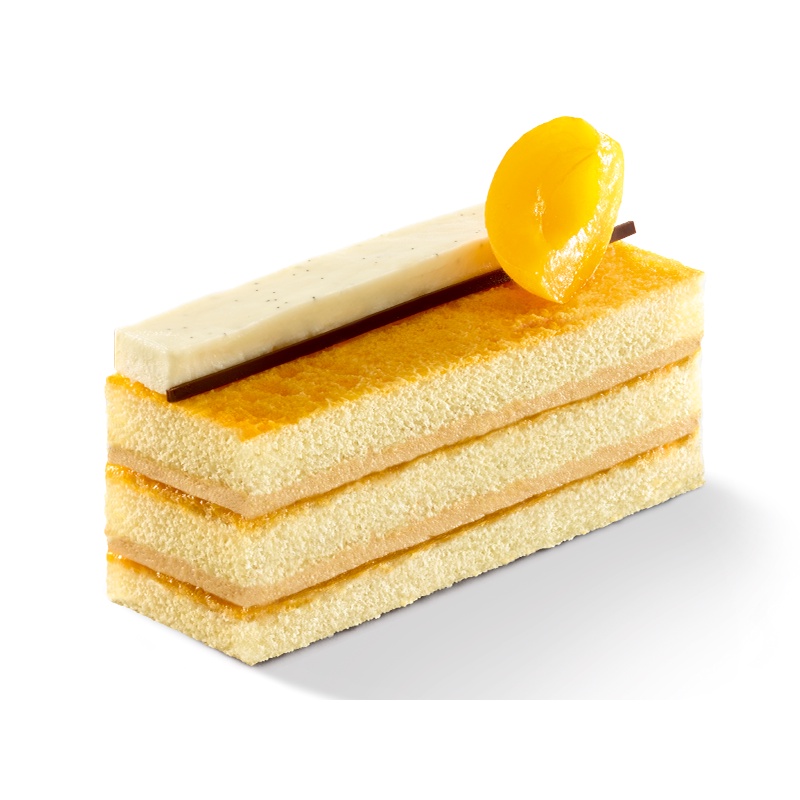 Bột Trộn Sẵn Làm Bánh Bông Lan Tegral Sponge Gold Puratos Grand-Place VN-1 Kg-4116116