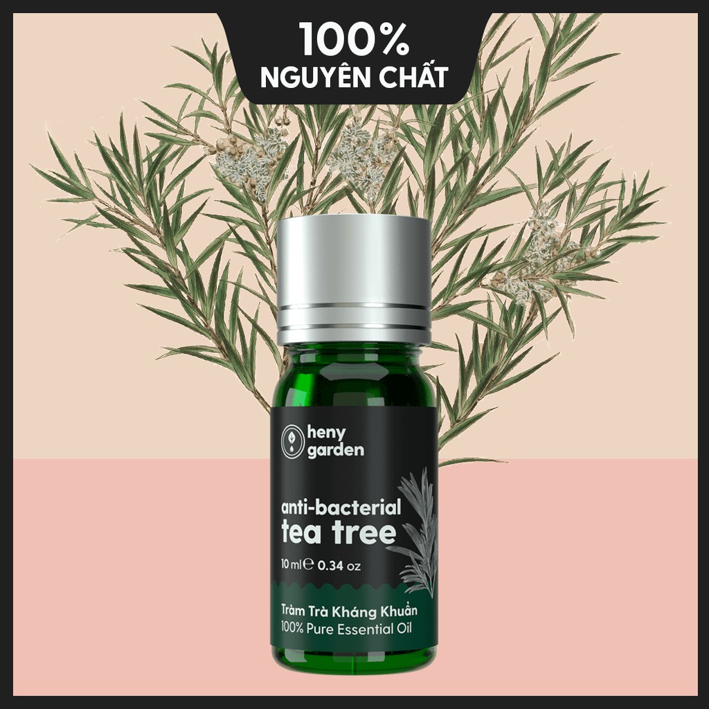 Tinh Dầu Tràm Trà Organic Thiên Nhiên Nguyên Chất Đậm Đặc Xông Thơm Phòng, Làm Nến Thơm HENY GARDEN