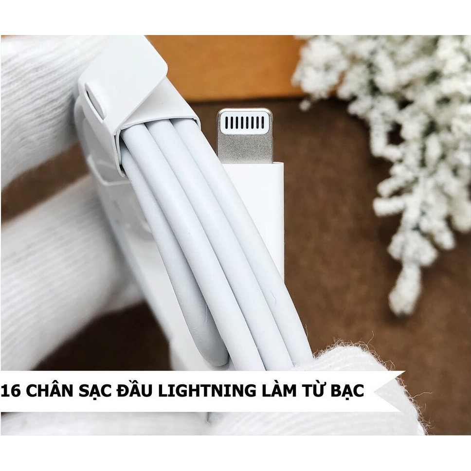 Dây Sạc Iphone 💖 𝘍𝘳𝘦𝘦𝘴𝘩𝘪𝘱 💖 Cáp Sạc Nhanh Type C To Lightning Iphone 11 Pro Max  Zin Máy ( Full Box )