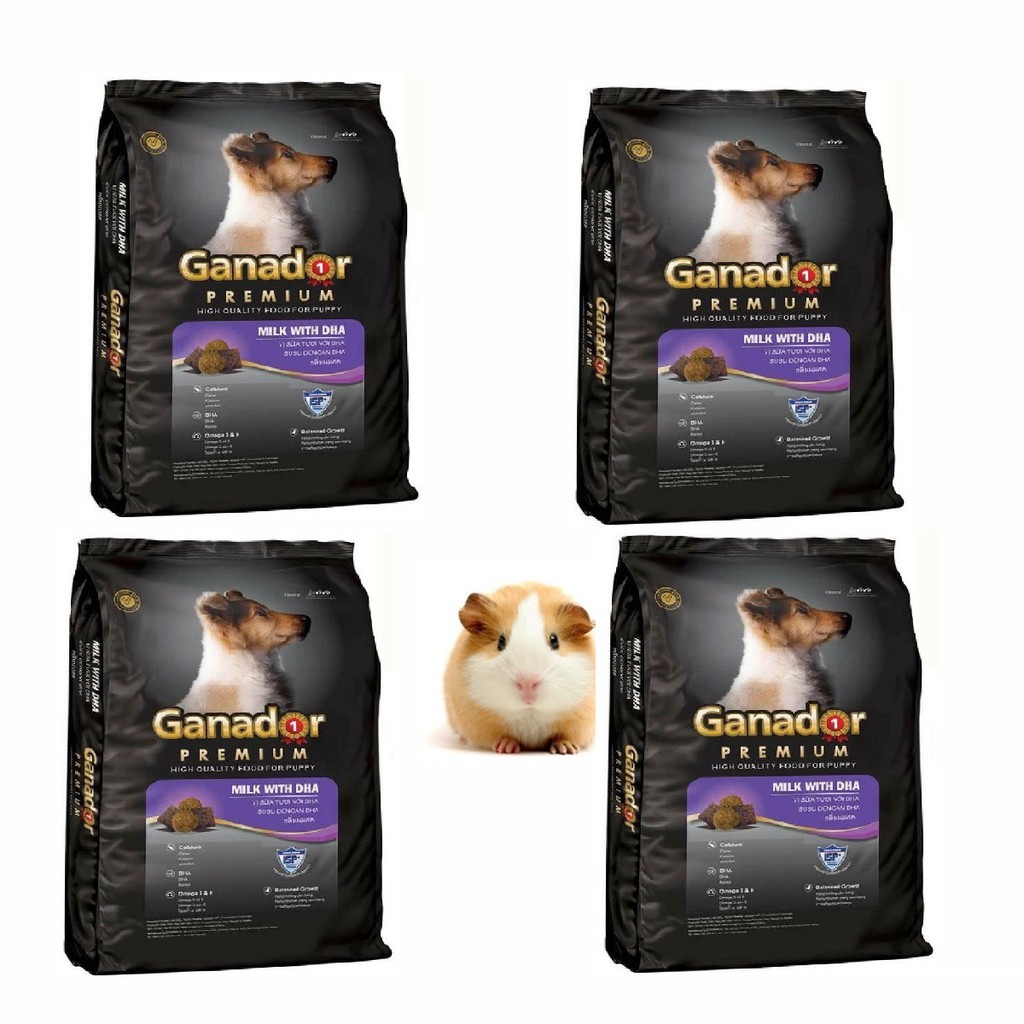 COMBO 4 túi thức ăn hạt Chó con Ganador Puppy - 400gr/ túi - Family Pets
