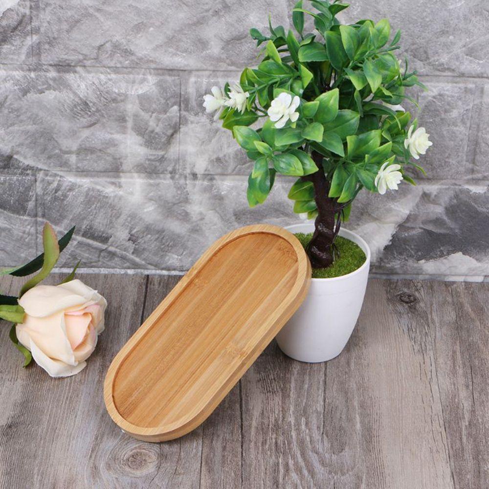 Chậu Hoa Để Bàn Trang Trí Thiết Kế Tinh Tế